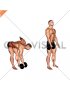 Dumbbell Cross Romanian Deadlift (male)