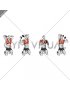 Dumbbell Kneeling Around Head Rotation