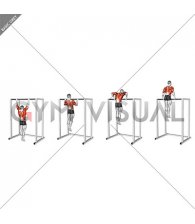 Bodyweight Muscle-up (VERSION 2)