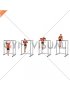 Bodyweight Muscle-up (VERSION 2)