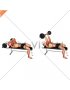 EZ Barbell Lying Triceps Extension (male)