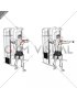 Cable Standing Single Delt Row (male)