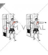 Cable Standing Single Delt Row (male)