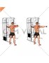 Cable Standing Single Delt Row (male)