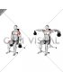 Kettlebell Seated Lateral Raise