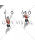 Ring Wide Pull-up (male)