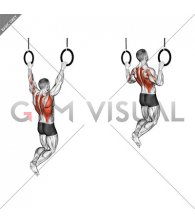 Ring Wide Pull-up (male)