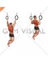 Ring Wide Pull-up (male)