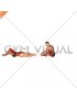 Seated Frog Half to Full Sit-up (male)