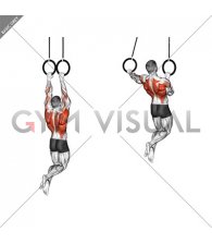 Ring Archer Pull-up (male)