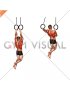 Ring Archer Pull-up (male)