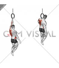 Ring One Arm Pull-up (male)