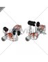 Dumbbell Glute Bridge Chest Press (male)