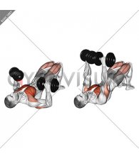 Dumbbell Glute Bridge Chest Press (male)