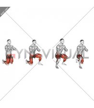 Kneeling to Standing Squat (male)