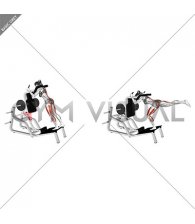Lever Single Leg Deadlift on Hack Squat Machine (female)
