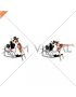Lever Single Leg Deadlift on Hack Squat Machine (female)
