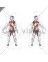 Standing Torso Twist Arms Swing (male)