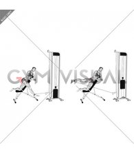 Cable Lying Incline Side Leg Raise (female)