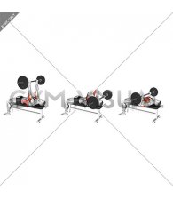 Barbell California Press (male)