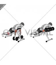 Dumbbell Spider Curl (male)