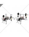 Barbell Banded Weighted Plate Bench Press (male)