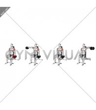 Dumbbell Seated Alternating Lateral Raise