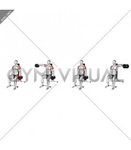 Dumbbell Seated Alternating Lateral Raise
