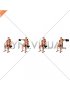 Dumbbell Seated Alternating Lateral Raise