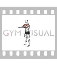 Standing Straight Elbow Together Lift (male)