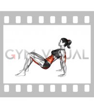 Triceps Dip Floor to Table Top Plank (female)