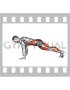 Plank Jump In (male)