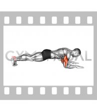 Bodyweight Triceps Extension Hold from Plank Position (male)