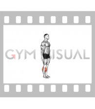 Bodyweight Explosive Calf Raise (male)