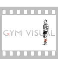 Heel Walk (male)
