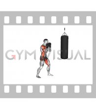Boxing Cross (with bag and gloves)