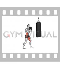 Boxing Low Hook (with bag and gloves)