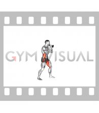 Boxing Low Hook (with Dumbbell)
