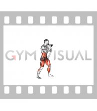 Boxing Full Uppercut (with Dumbbell)