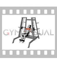 Lever Tower Incline Chest Press (male)