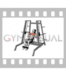 Lever Tower Incline Chest Press (male)