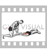 Assisted Prone Hamstring