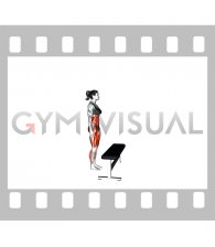 High Knee Step-up (female)