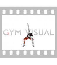Rotational Jacks (female)