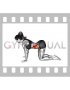 Cat pose (female)