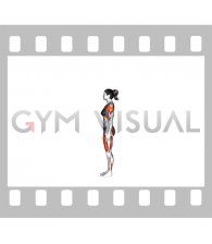 Chair Pose I Utkatasana I (female)