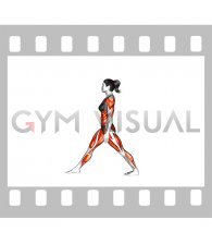 Half Moon Pose Ardha Chandrasana (female)