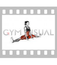 Spread Leg Forward Fold Upavista Konasana (female)