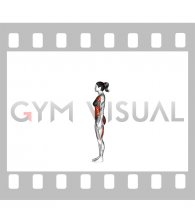 Standing Forward Bend Uttanasana (female)