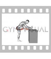 Raised Leg Knee Flexor Stretch